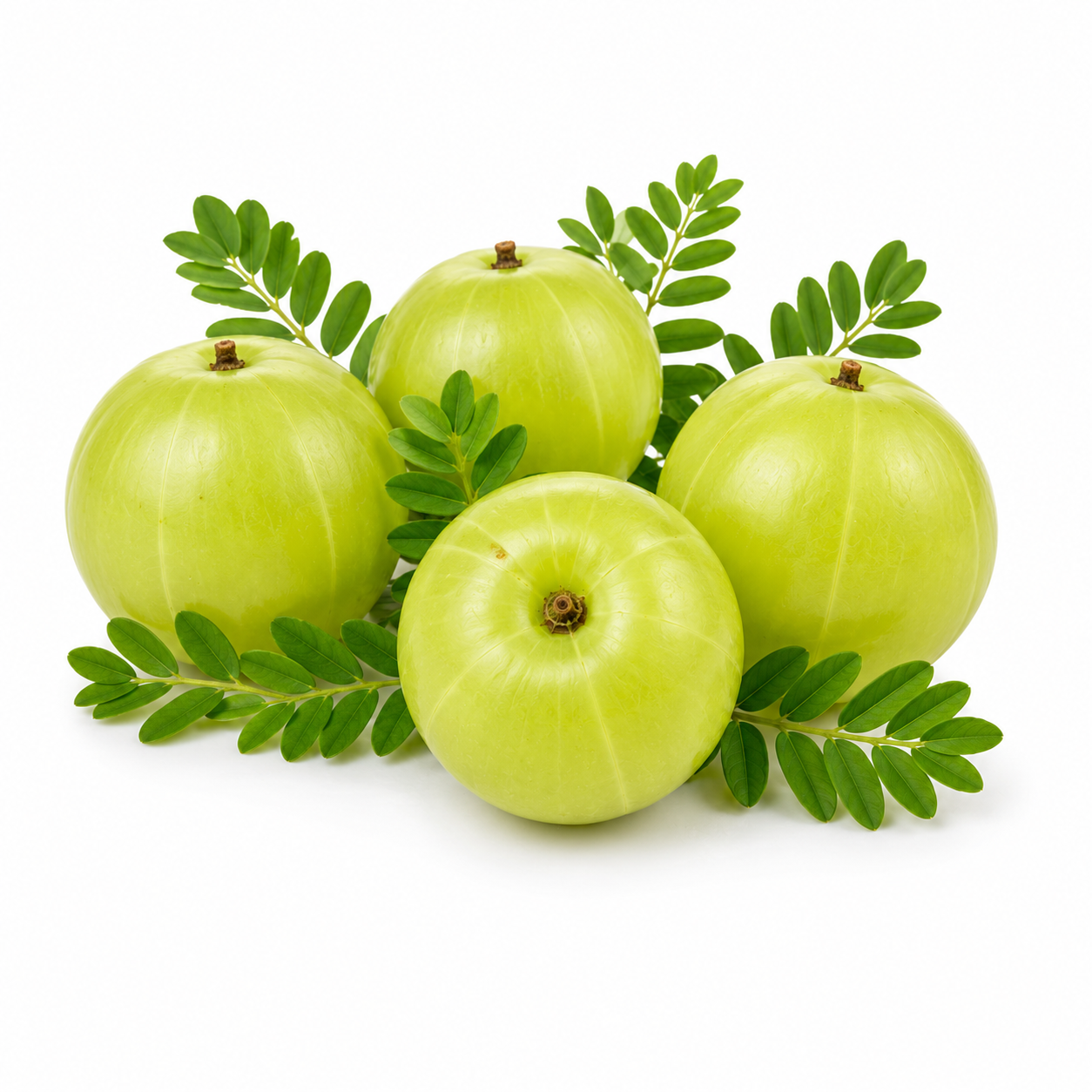 Amla