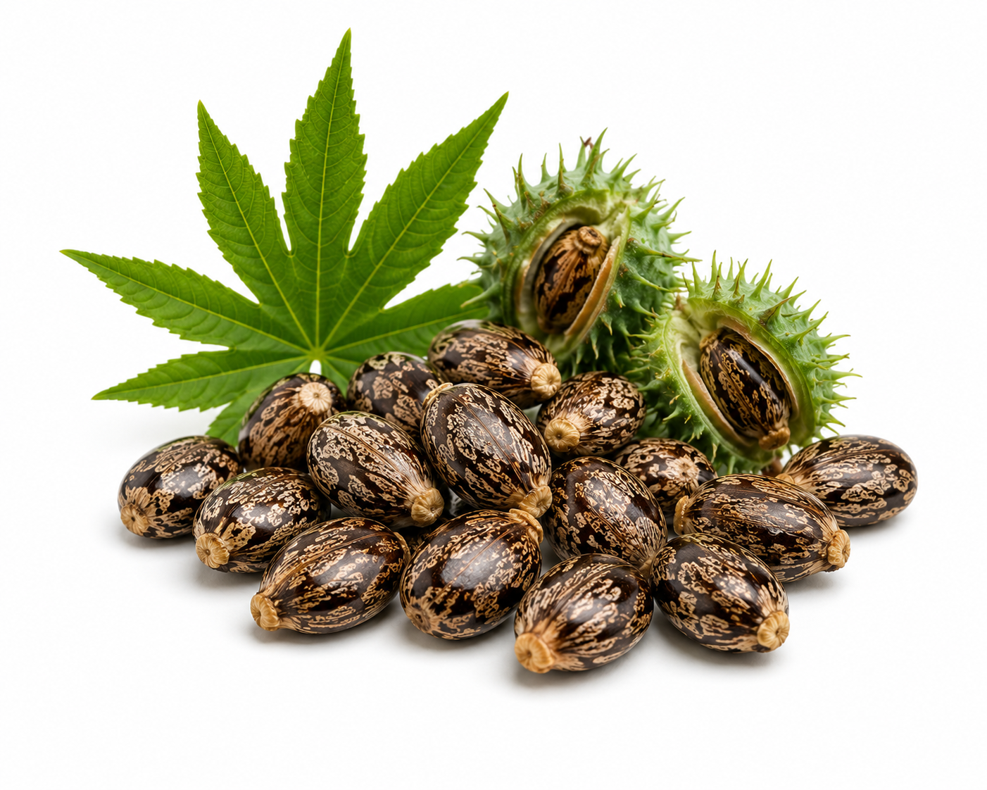 Castor Oil